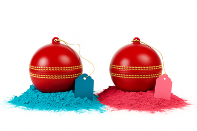 Gender Revealer Cricket Ball Reveal Set